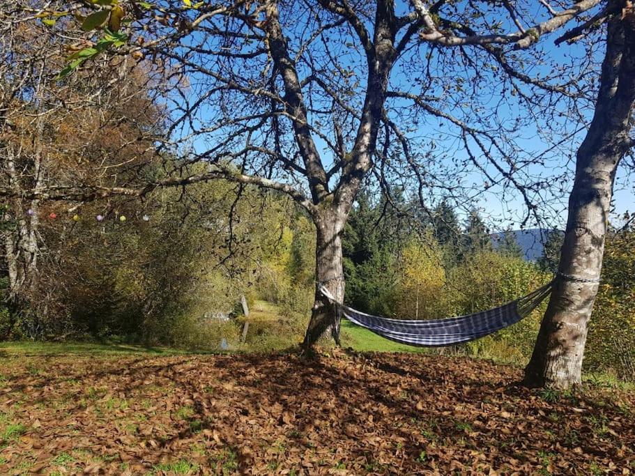 Vakantiehuis Ferme De Chenezeau - 15 Personnes , 7 *